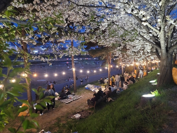 벚꽃과 함께하는 무심천 푸드트럭축제